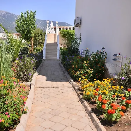 Apartament Pine Grove Upper C3